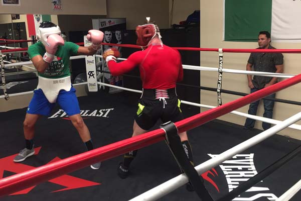 Canelo sparring bigger guys