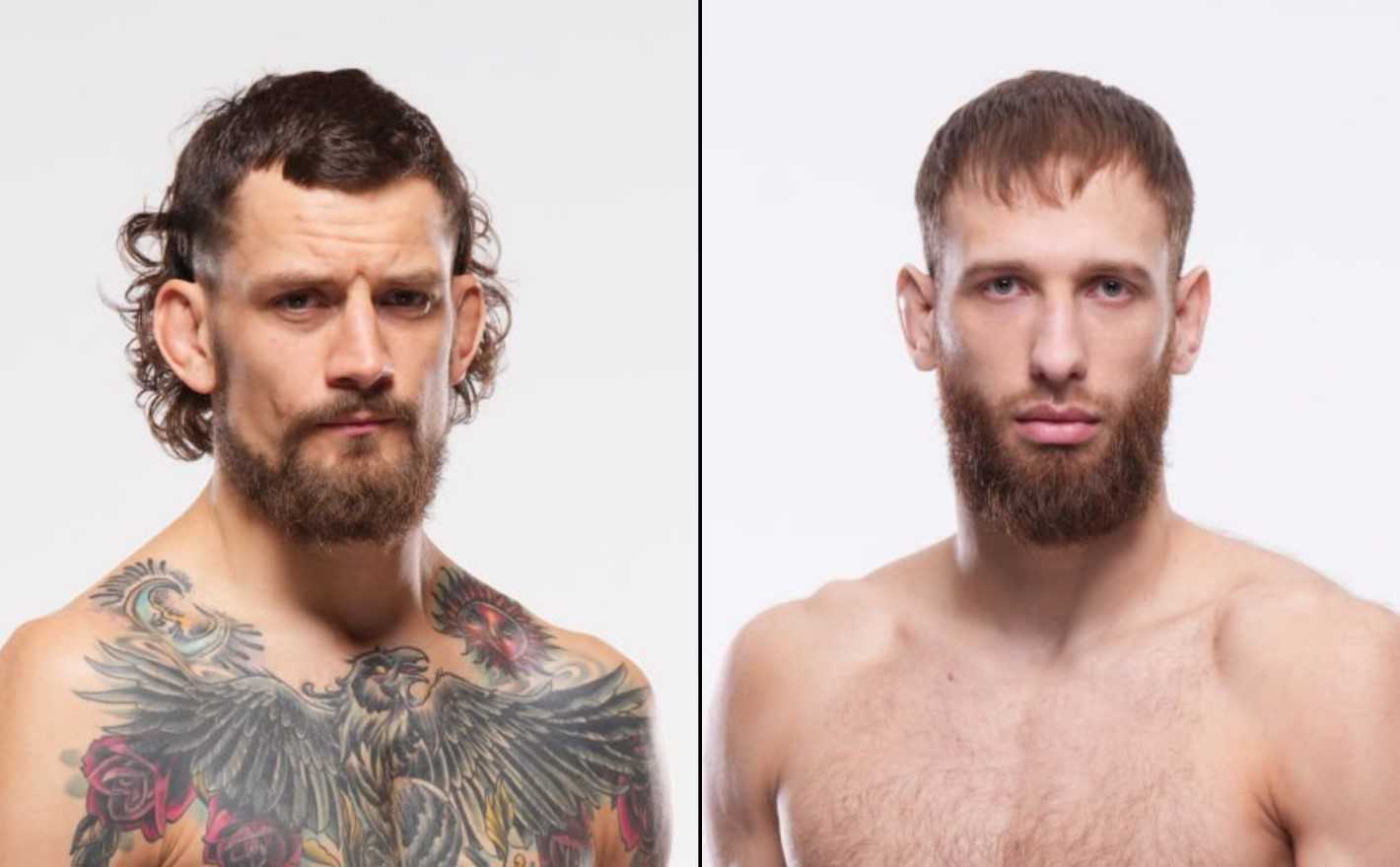 UFC on ESPN 71 - Betting Odds, Prediction: Klein vs Pulyaev
