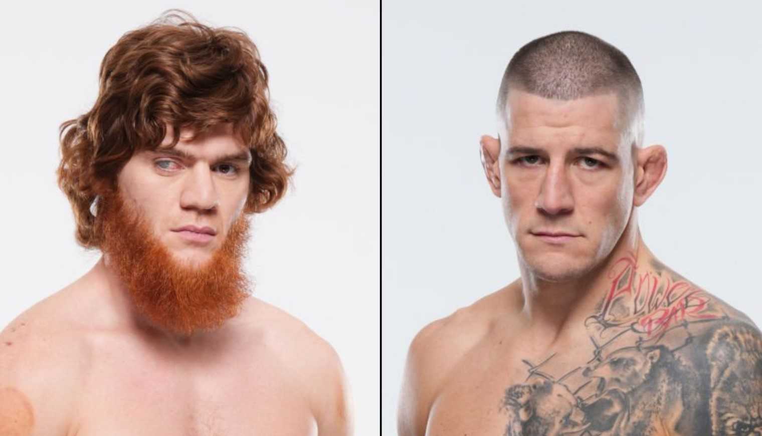 UFC on ABC 9 - Betting Odds, Prediction: Magomedov vs Barriault