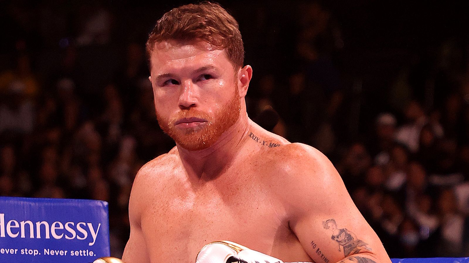 Saul Alvarez