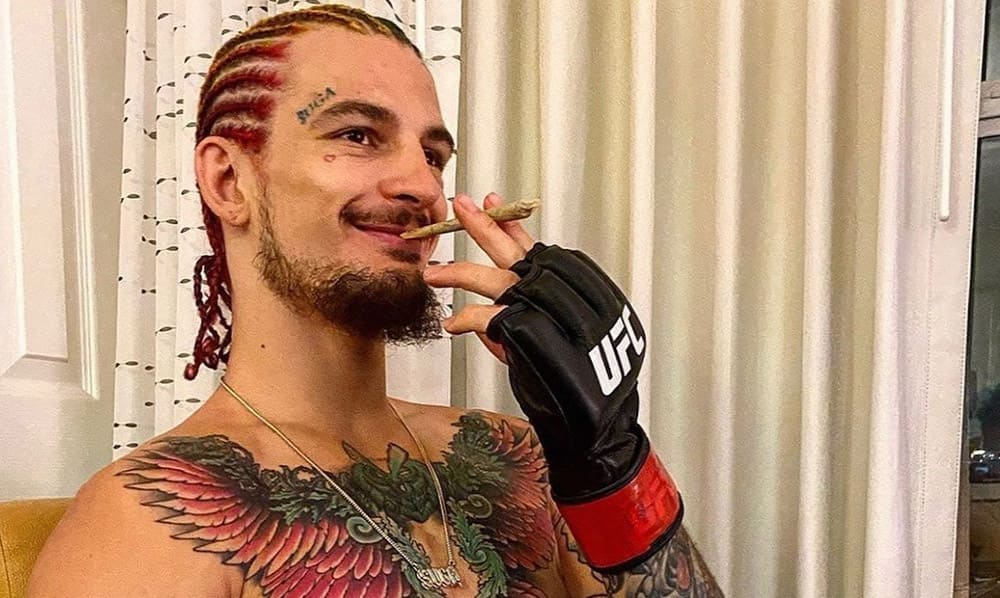 Sean O'Malley: Logan Brothers are the only boxing fights I watch ...
